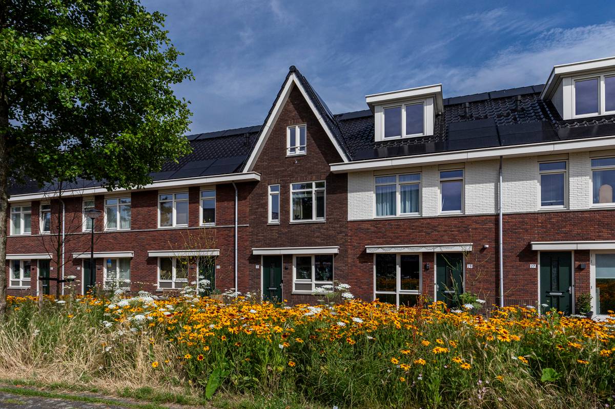 Edgar du Perronstraat 31 · 's-Gravenhage · foto 1 van 15